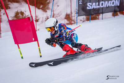 Salomon RACE - Fischer Cup - NICI Vertex Cup