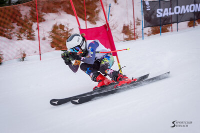 Salomon RACE - Fischer Cup - NICI Vertex Cup